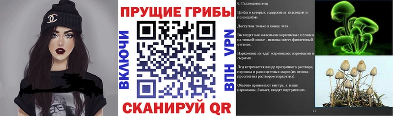 мориарти какой сайт  Переславль-Залесский  Галлюциногенные грибы ЛСД  где продают наркотики 