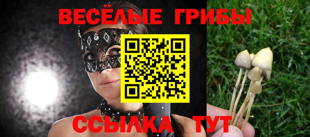 Переславль-Залесский  Псилоцибиновые грибы Psilocybine cubensis  что такое наркотик  Вход с VPN  Галлюциногенные грибы Cubensis 